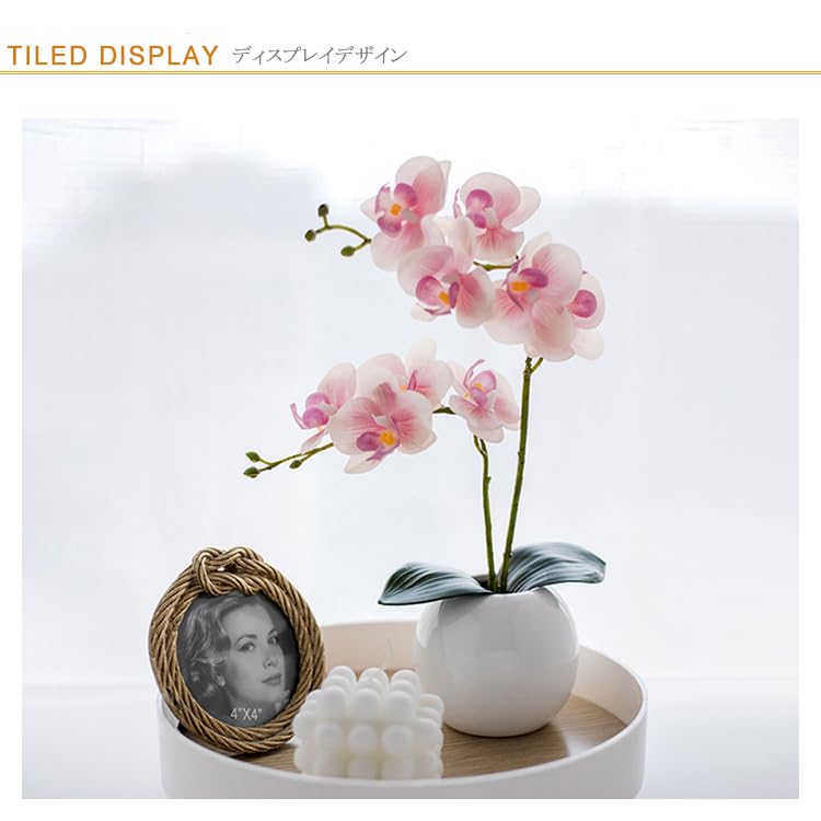 Amazon｜ミニサイズ 胡蝶蘭 造花 光触媒 2本立ち お祝い アート